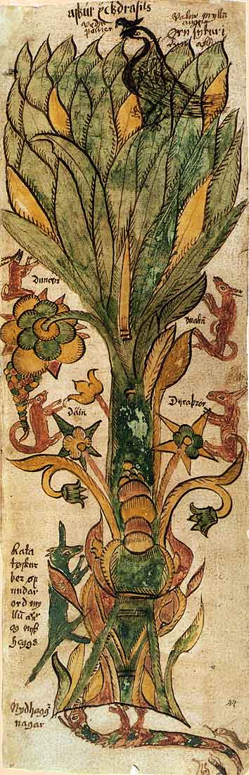 yggdrasil